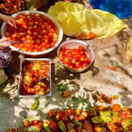 Σπίτι διακοπών Zeytincik Ciftlik- 50 Doenuemluek Bahcedeki Tek Ev *