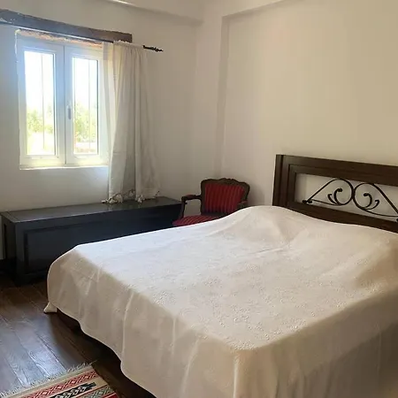 Zeytincik Ciftlik- 50 Doenuemluek Bahcedeki Tek Ev Torbali