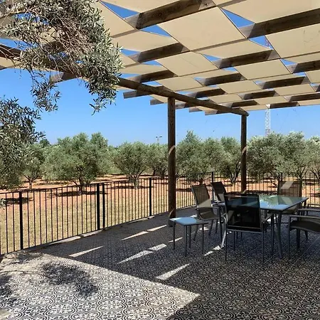 Holiday home Zeytincik Ciftlik- 50 Doenuemluek Bahcedeki Tek Ev *
