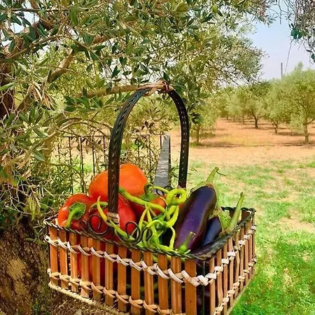 Zeytincik Ciftlik- 50 Doenuemluek Bahcedeki Tek Ev Holiday home Torbali