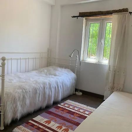 Zeytincik Ciftlik- 50 Doenuemluek Bahcedeki Tek Ev * Torbali