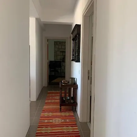 Zeytincik Ciftlik- 50 Doenuemluek Bahcedeki Tek Ev * Torbali